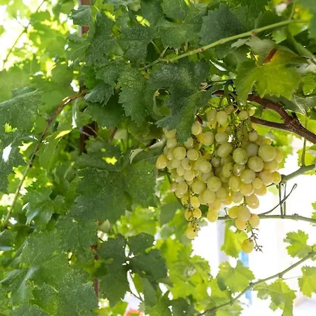 Appartement Ozzy Kaštela